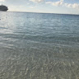 Meet your Posher, Gavin